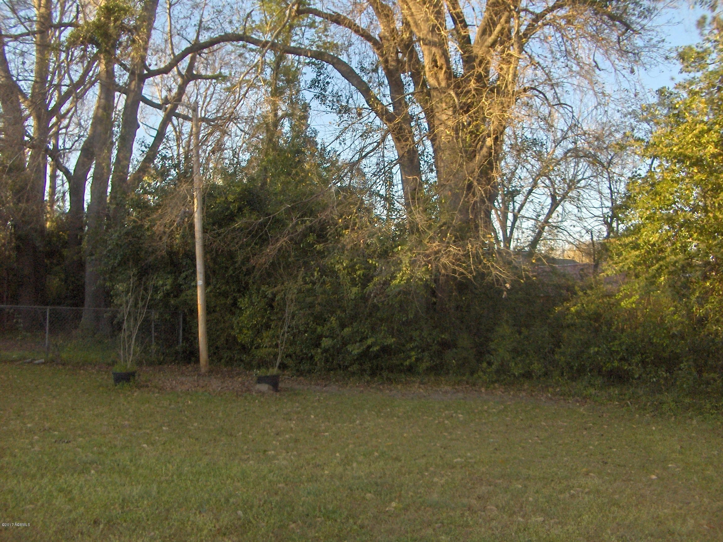 HPIM6561 - 000 Georgia Avenue, Barnwell, SC 29812