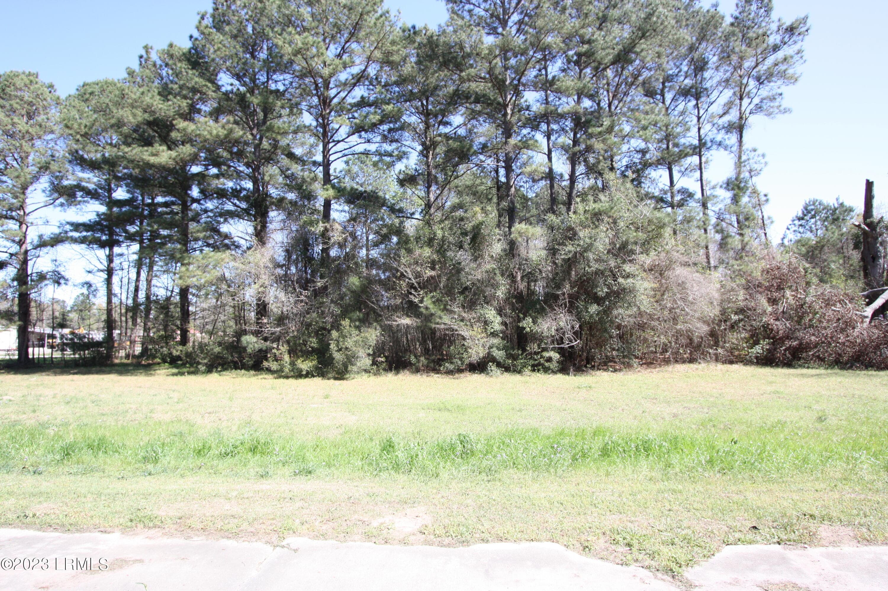 IMG_8203 - Tbd Columbia Highway 321 Highway S, Estill, SC 29918
