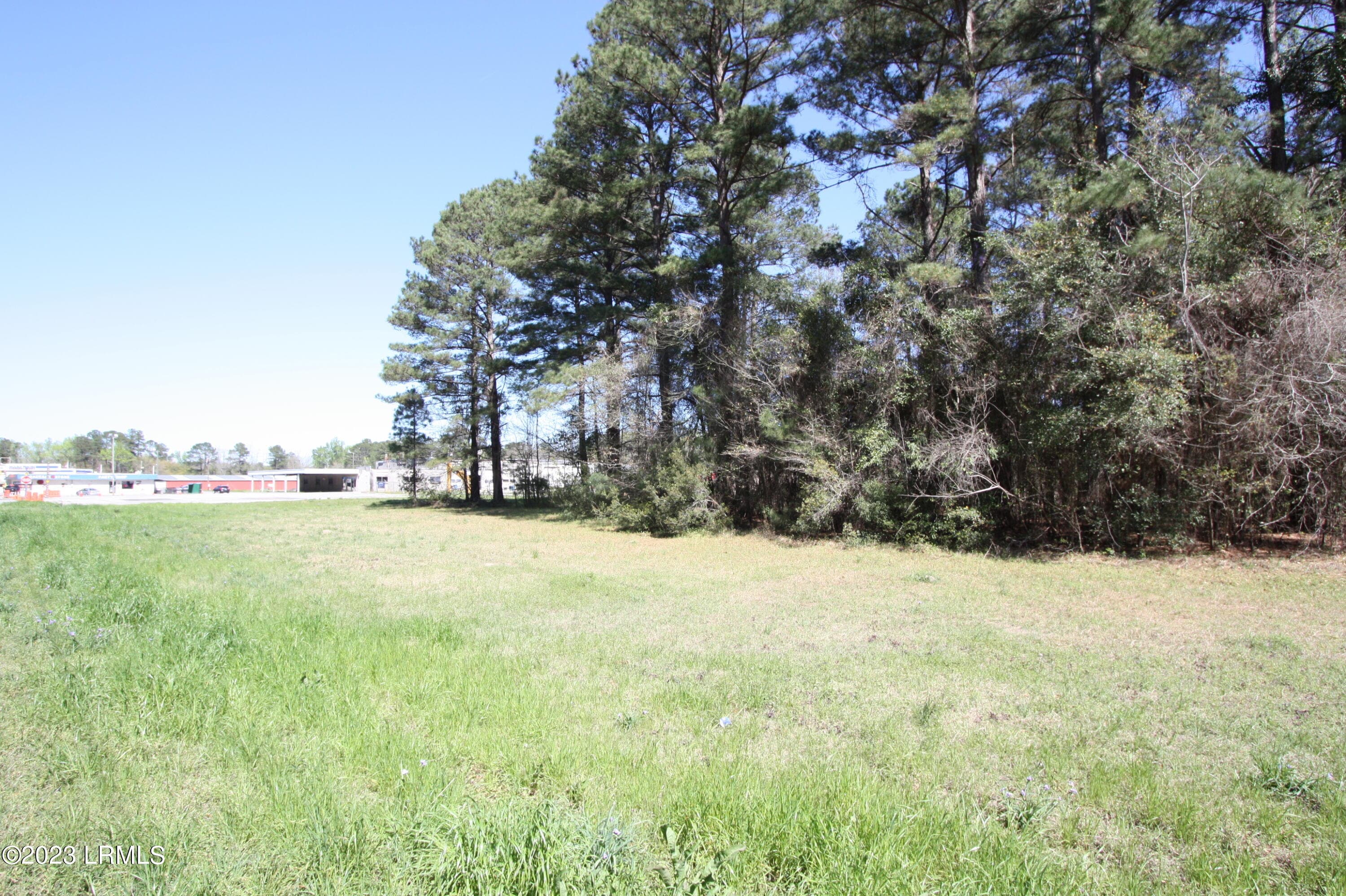 IMG_8204 - Tbd Columbia Highway 321 Highway S, Estill, SC 29918