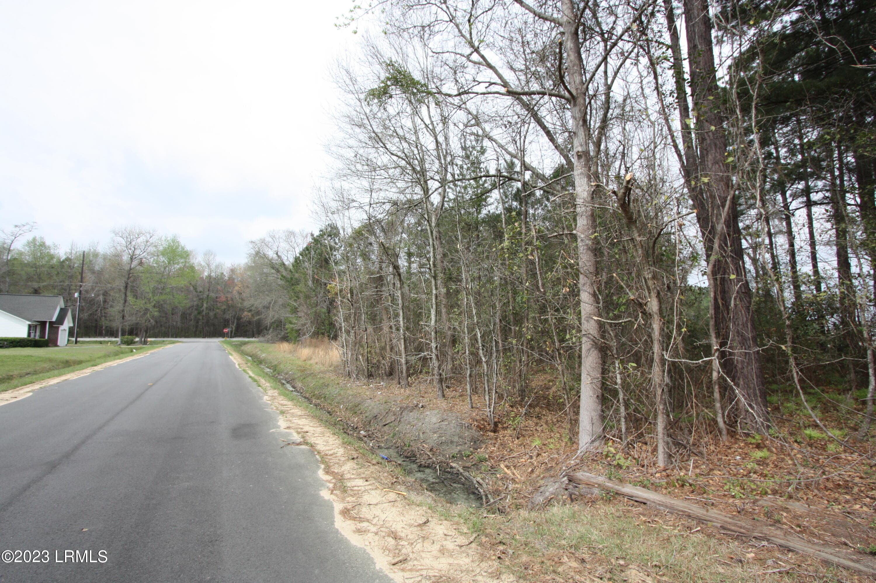 IMG_8195 - Tbd Columbia Highway 321 Highway S, Estill, SC 29918