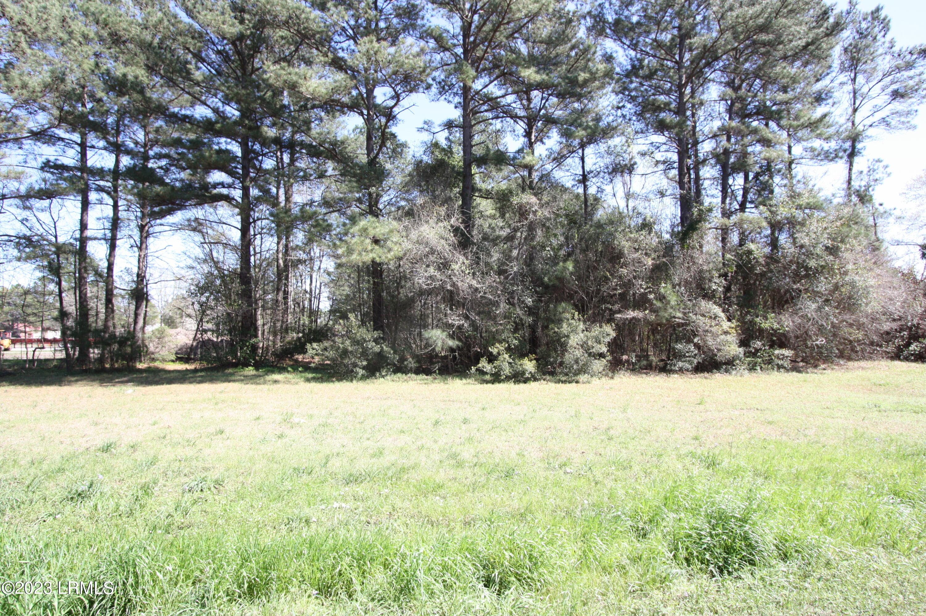 IMG_8202 - Tbd Columbia Highway 321 Highway S, Estill, SC 29918