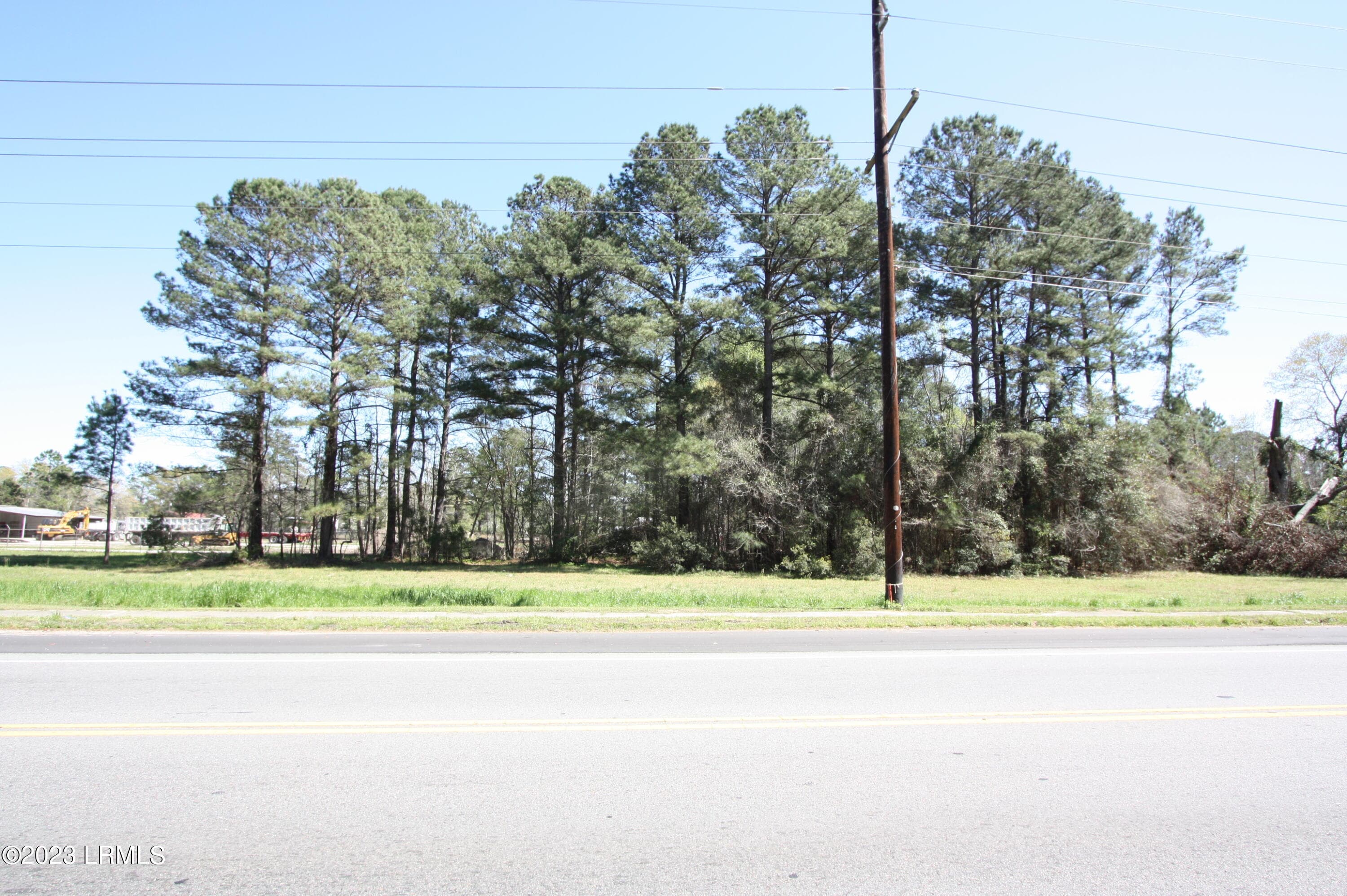 IMG_8201 - Tbd Columbia Highway 321 Highway S, Estill, SC 29918