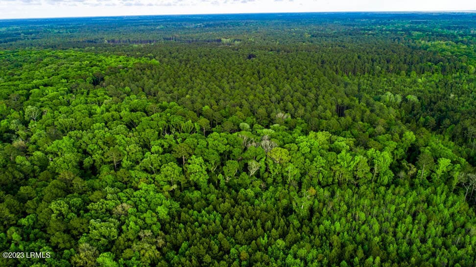 DJI_0121-HDR - Tbd Dunham Williams Road, Hardeeville, SC 29927