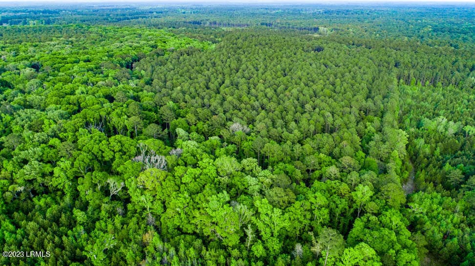 DJI_0121-HDR-2 - Tbd Dunham Williams Road, Hardeeville, SC 29927