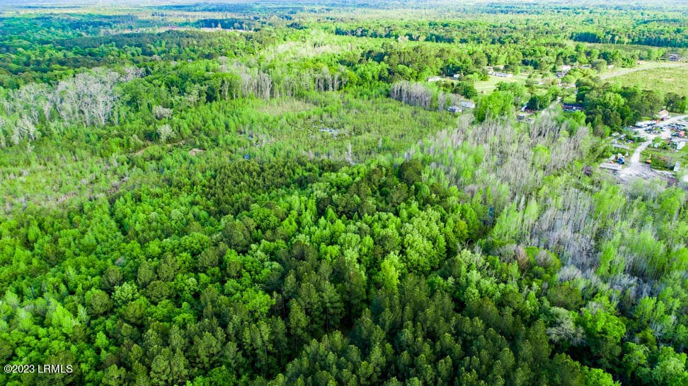 DJI_0145-HDR - Tbd Dunham Williams Road, Hardeeville, SC 29927