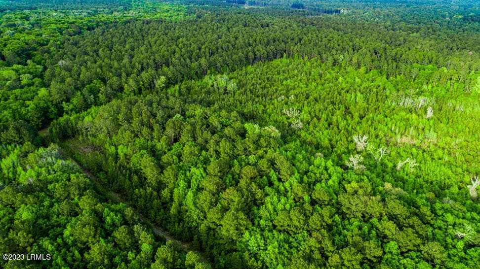 DJI_0162-HDR - Tbd Dunham Williams Road, Hardeeville, SC 29927