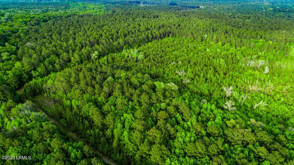 DJI_0167-HDR - Tbd Dunham Williams Road, Hardeeville, SC 29927