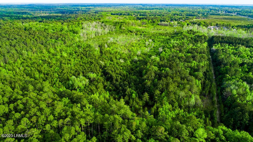 DJI_0177-HDR - Tbd Dunham Williams Road, Hardeeville, SC 29927