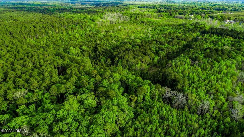 DJI_0182-HDR - Tbd Dunham Williams Road, Hardeeville, SC 29927