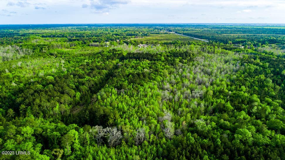 DJI_0187-HDR - Tbd Dunham Williams Road, Hardeeville, SC 29927