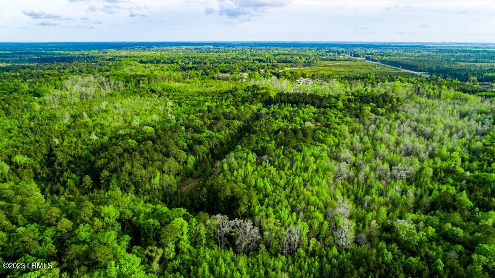 DJI_0196-HDR - Tbd Dunham Williams Road, Hardeeville, SC 29927