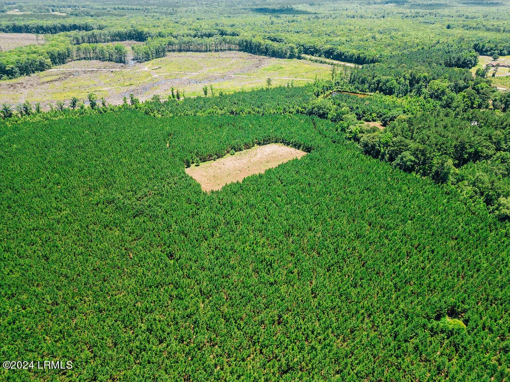 DJI_0196 - 0000 Varnadoe Road, Islandton, SC 29929