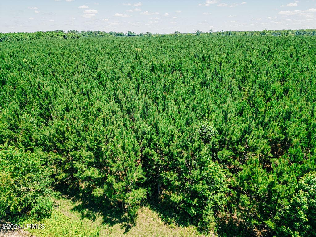 DJI_0187 (1) - 0000 Varnadoe Road, Islandton, SC 29929