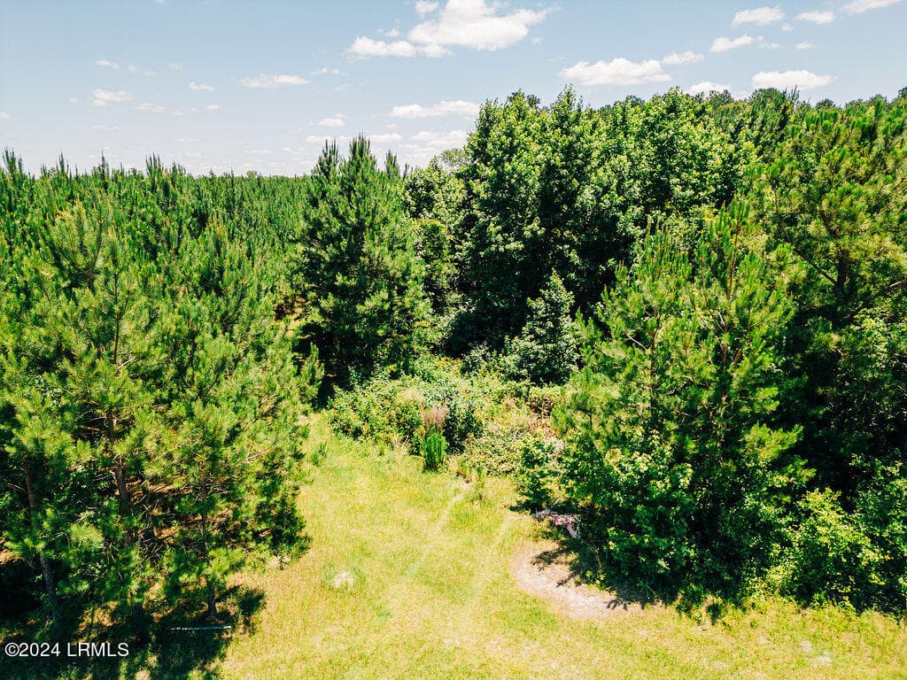 DJI_0188 (1) - 0000 Varnadoe Road, Islandton, SC 29929