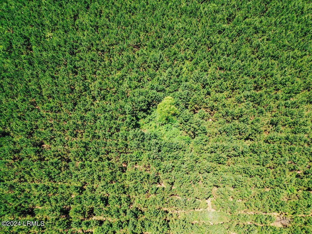 DJI_0184 (2) - 0000 Varnadoe Road, Islandton, SC 29929