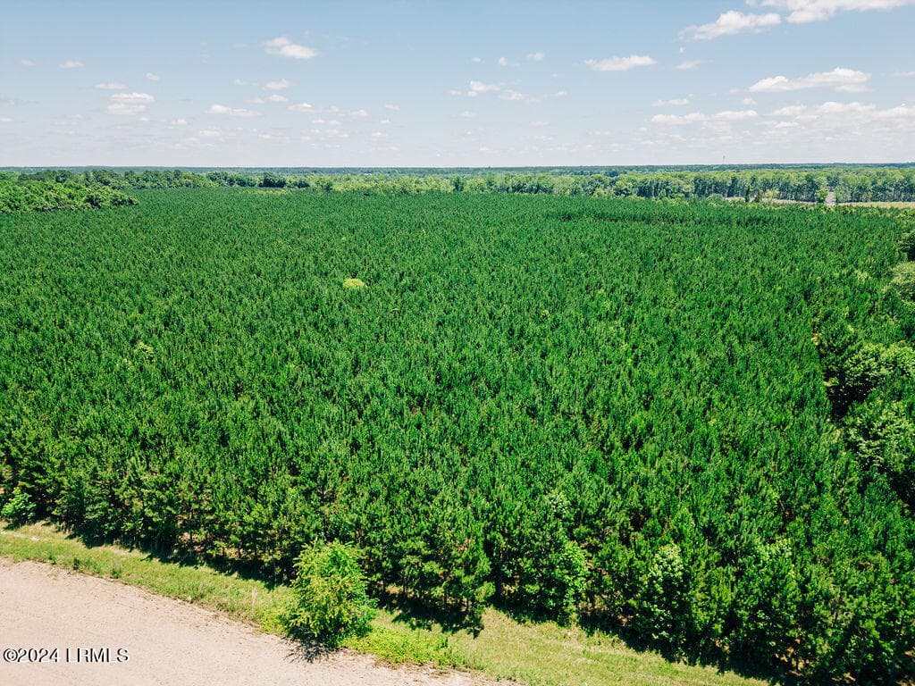 DJI_0185 (1) - 0000 Varnadoe Road, Islandton, SC 29929