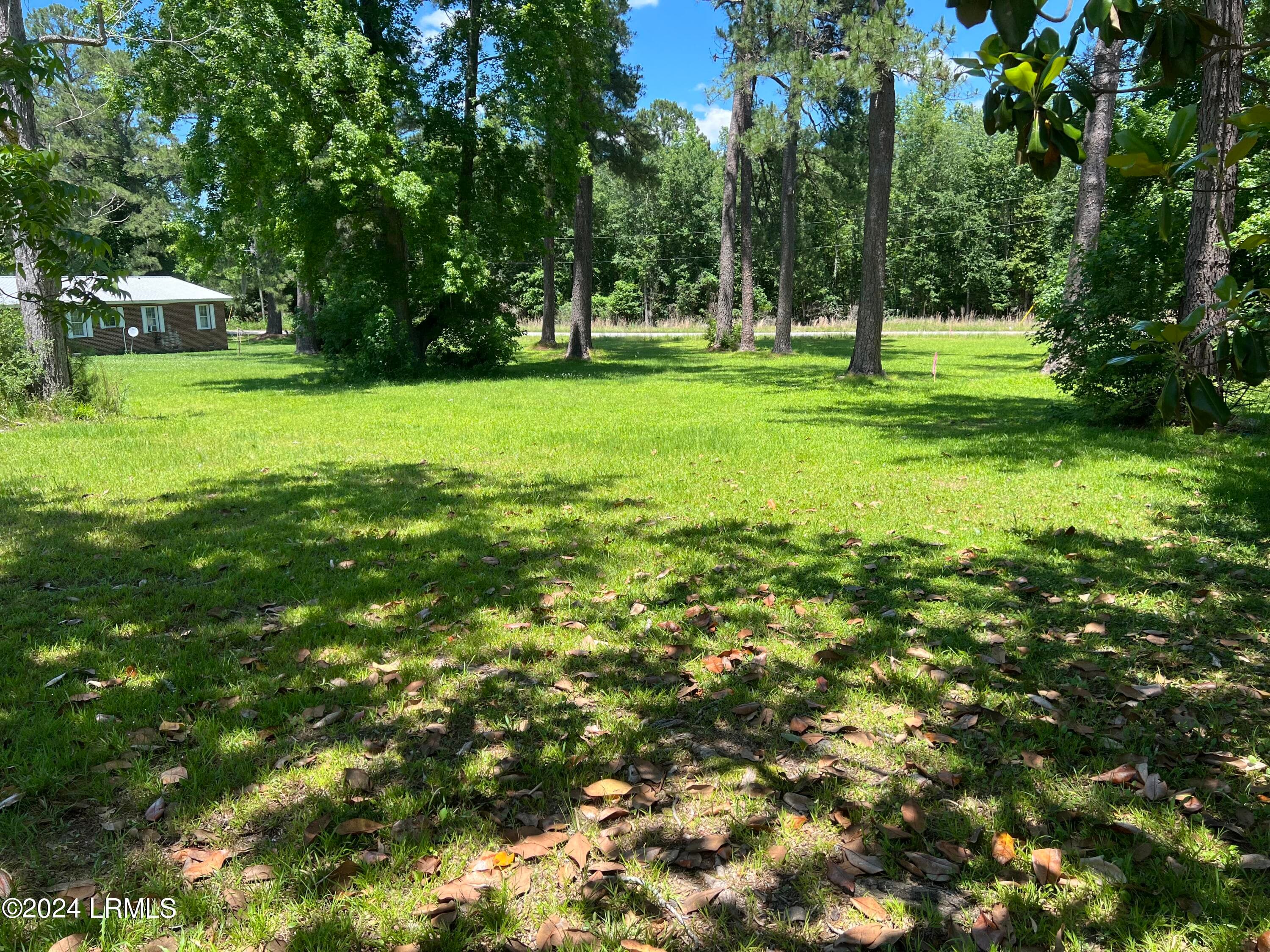 Tbd Elm Street E, Hampton, SC 29924