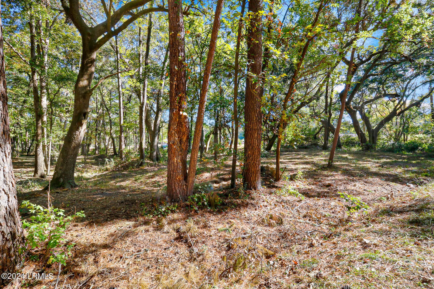 Tutens Landing Lot 152-10 - 152 Riverview Drive, Ridgeland, SC 29936, Ridgeland