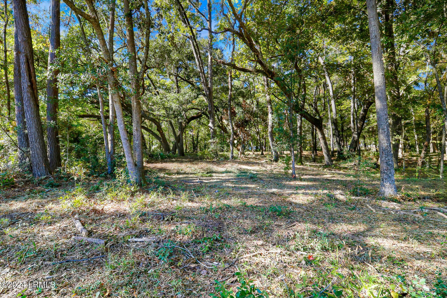 Tutens Landing Lot 152-7 - 152 Riverview Drive, Ridgeland, SC 29936, Ridgeland