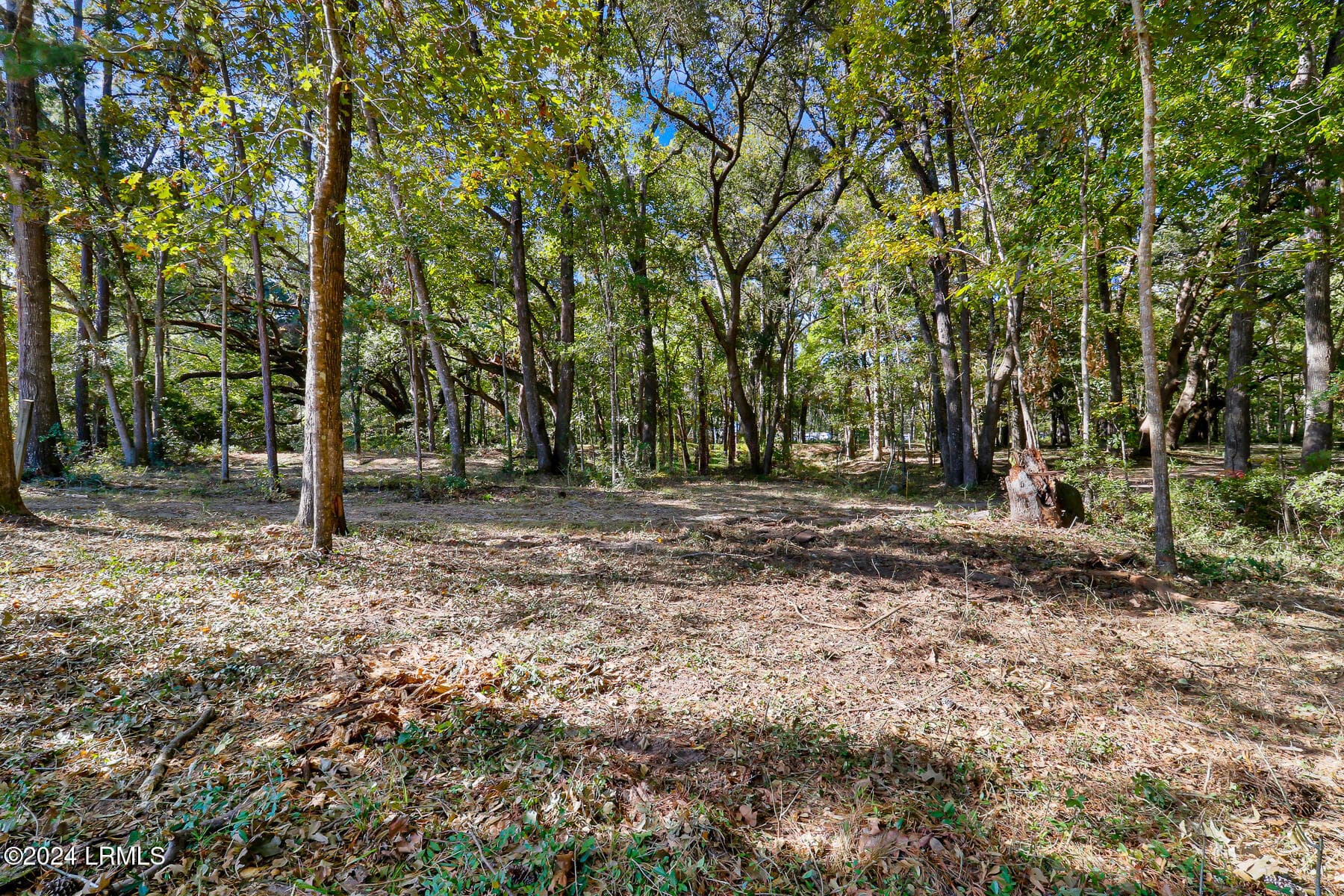 Tutens Landing Lot 152-4 - 152 Riverview Drive, Ridgeland, SC 29936, Ridgeland