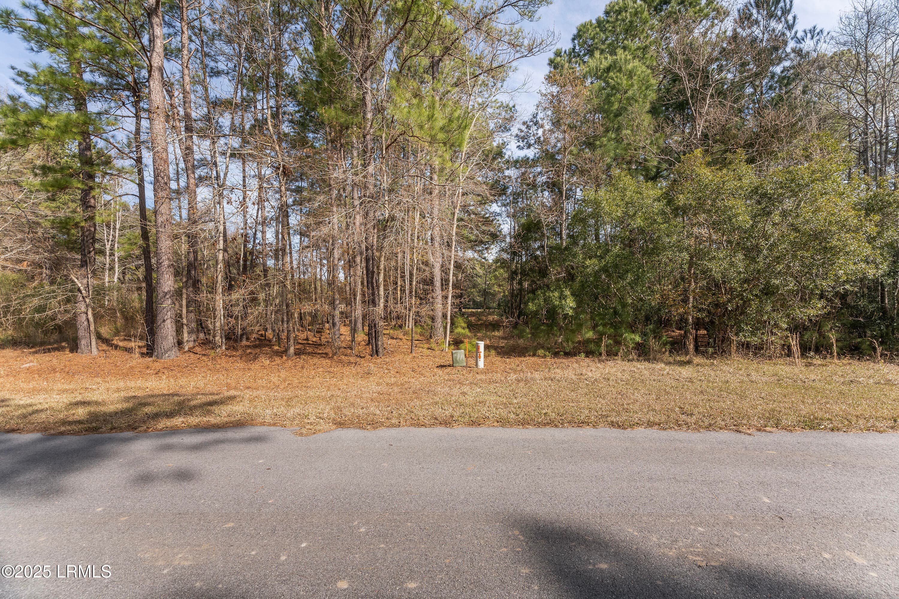 Nowlin Properties_66 - 276 Twickenham Loop, Yemassee, SC 29945