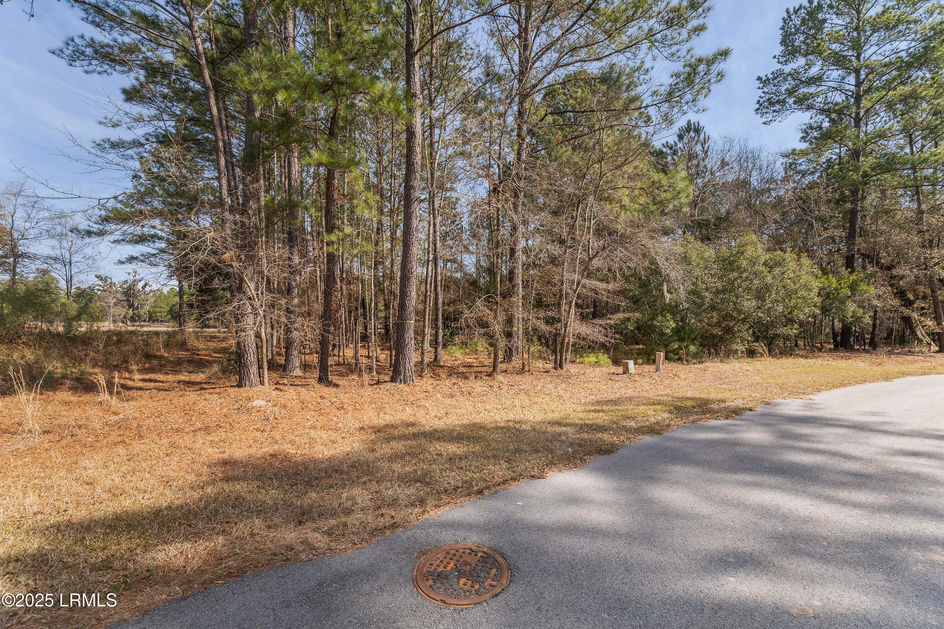Nowlin Properties_67 - 276 Twickenham Loop, Yemassee, SC 29945