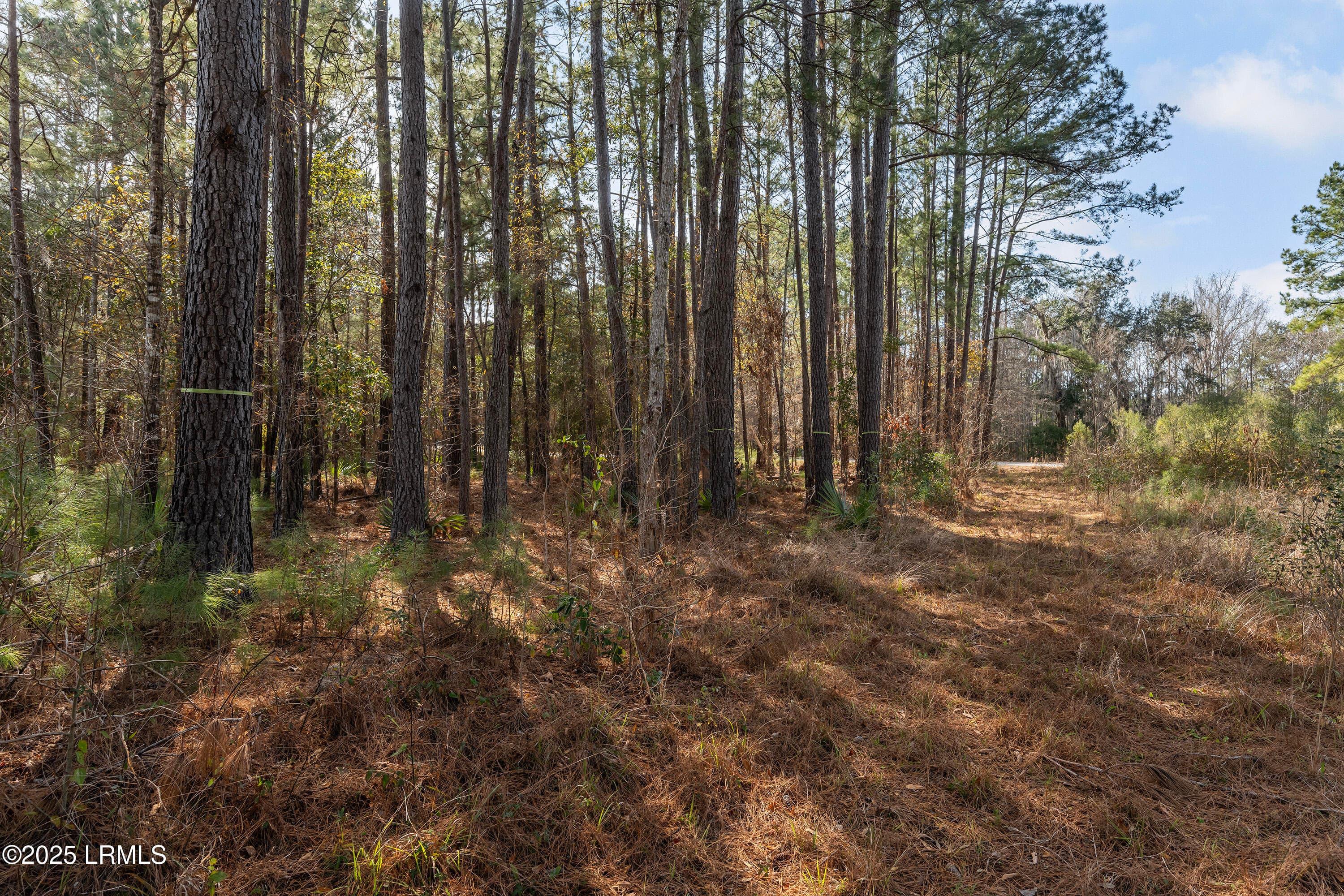 Nowlin Properties_72 - 276 Twickenham Loop, Yemassee, SC 29945