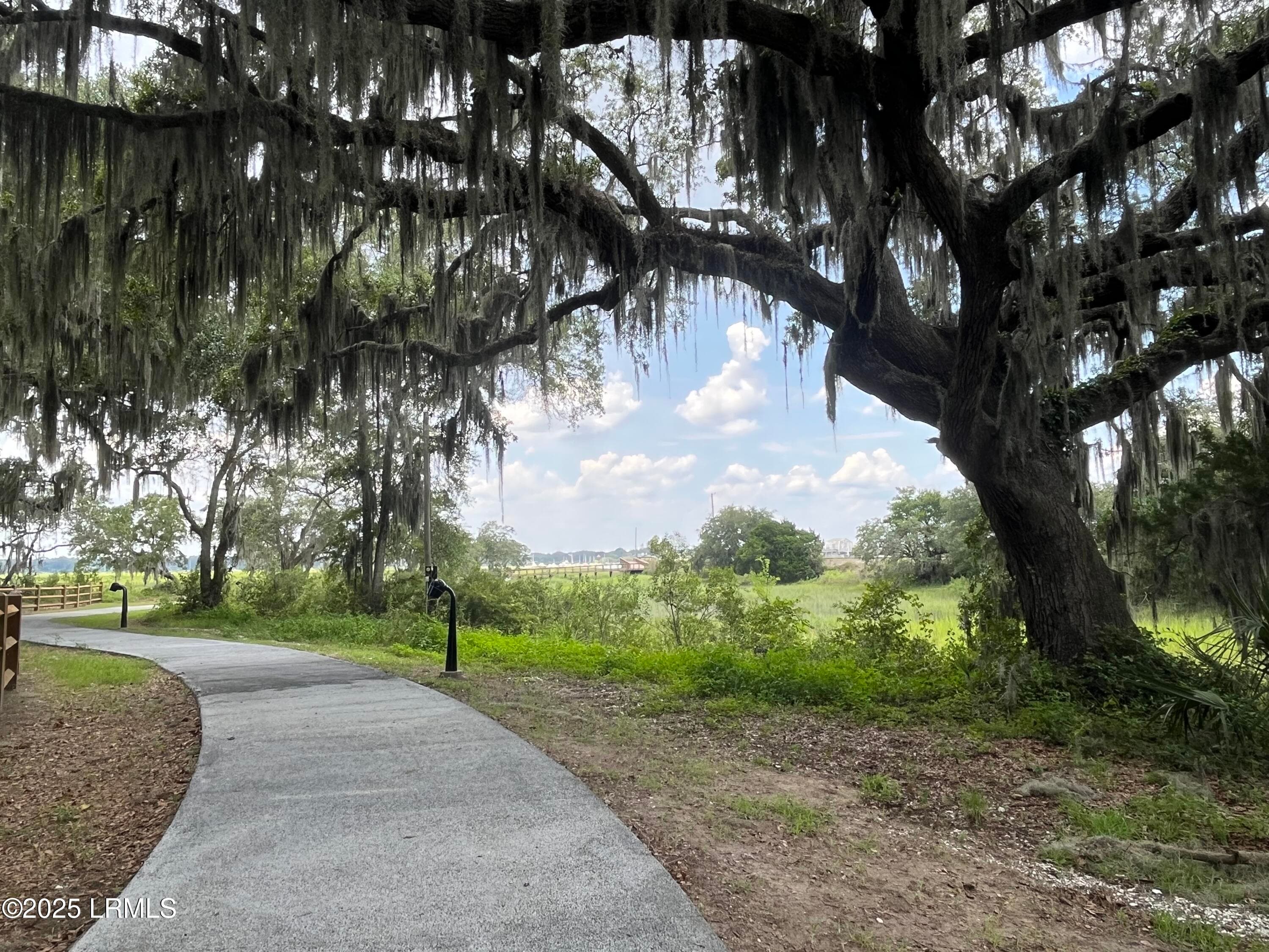 IMG_6777 - 202 Harborview Drive, Beaufort, SC 29907