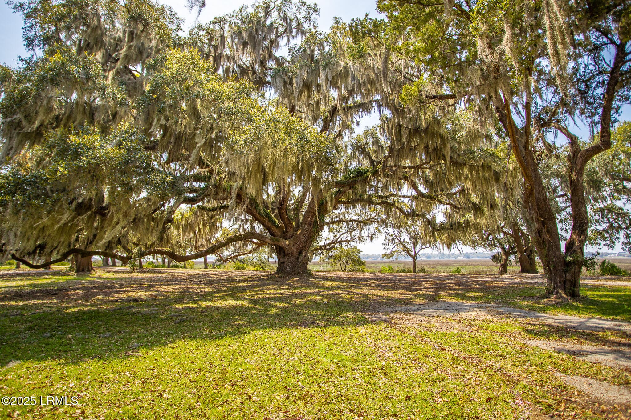 IMG_8890 - 202 Harborview Drive, Beaufort, SC 29907