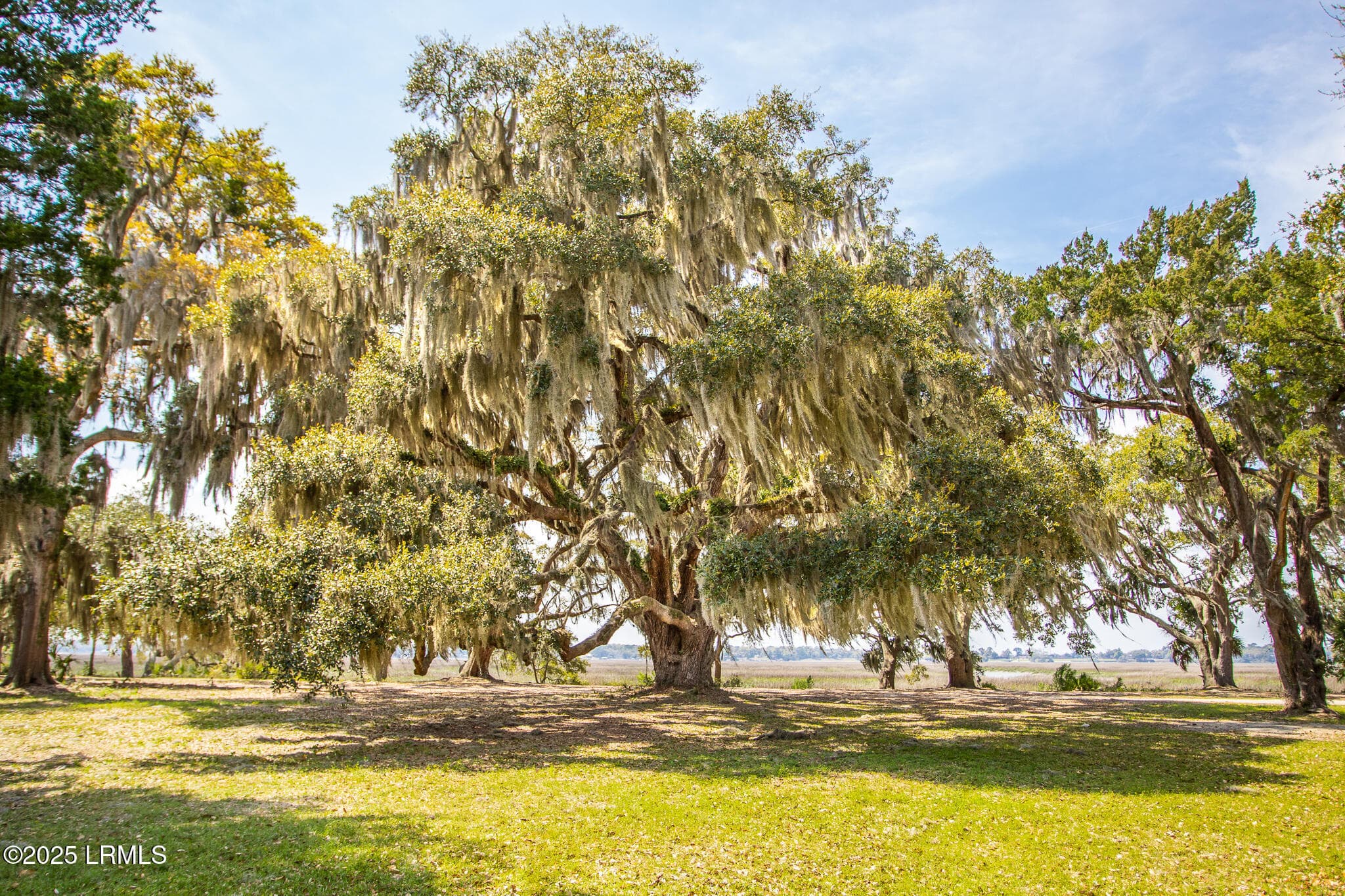 IMG_8892 - 202 Harborview Drive, Beaufort, SC 29907
