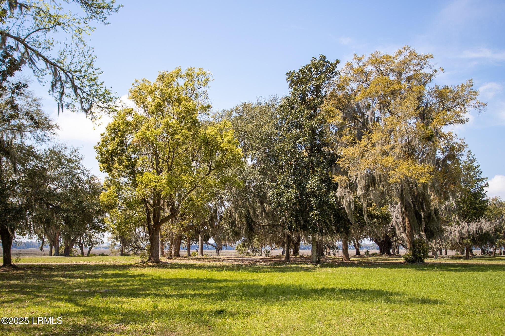 IMG_8913 - 202 Harborview Drive, Beaufort, SC 29907