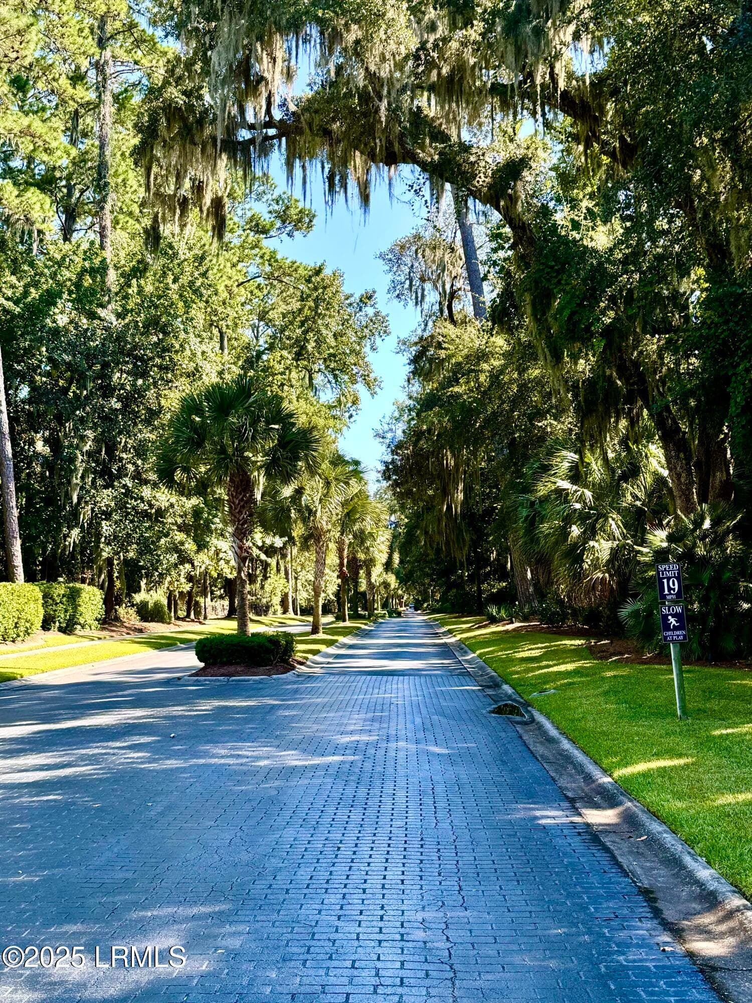 Islands Avenue Roadway - 324 De La Gaye Point, Beaufort, SC 29902