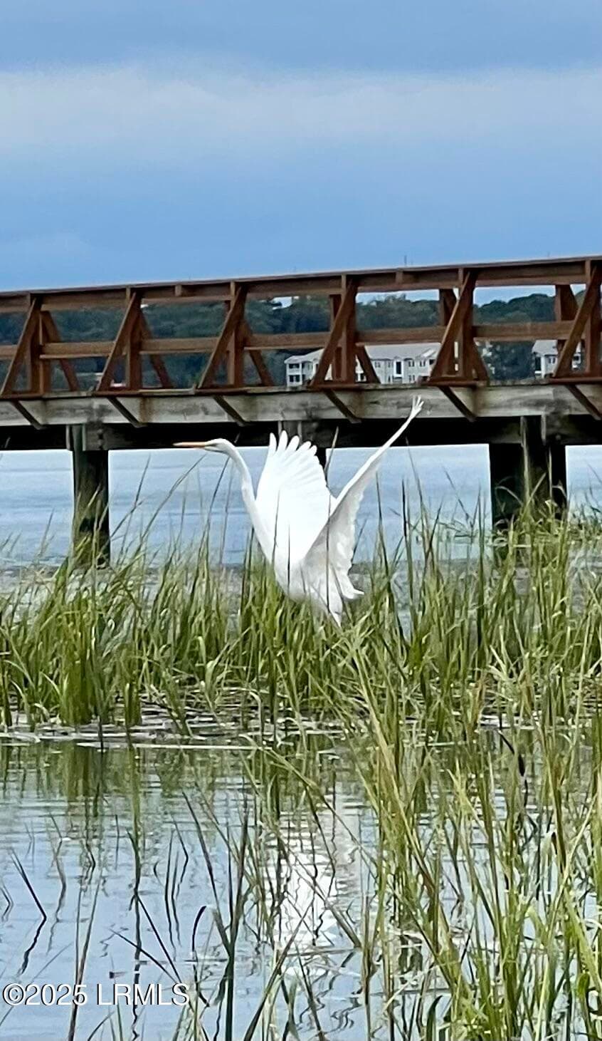 Flora and Fauna - 324 De La Gaye Point, Beaufort, SC 29902