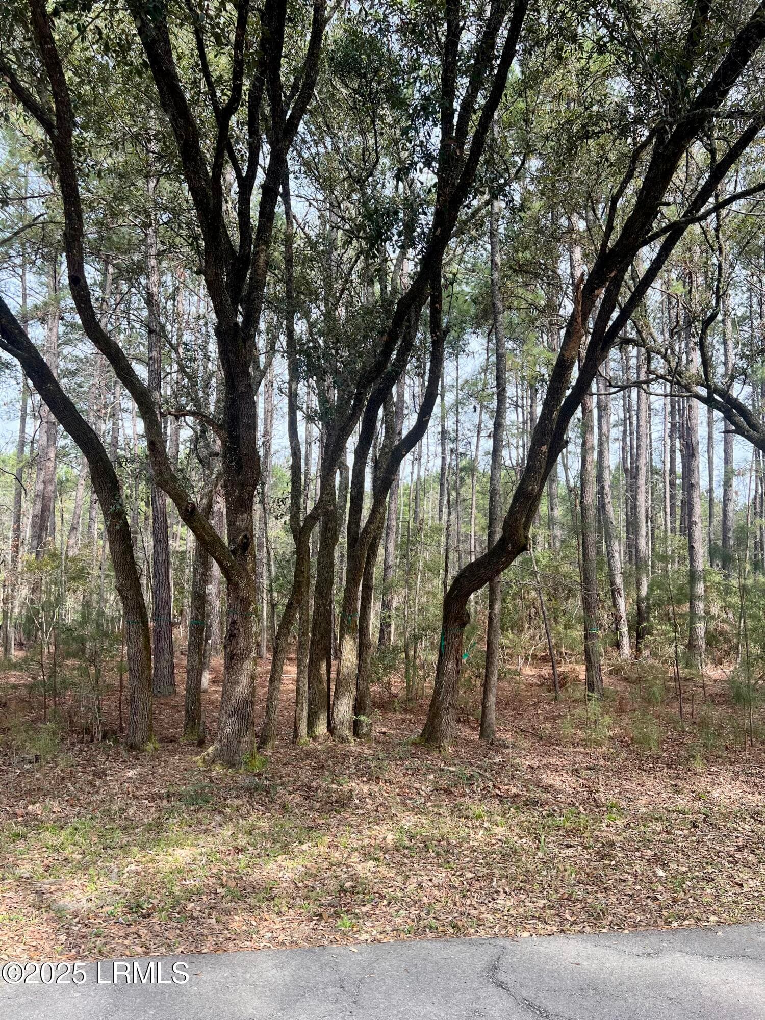 Lot 28 - 237 Founders Oak Way, Yemassee, SC 29945