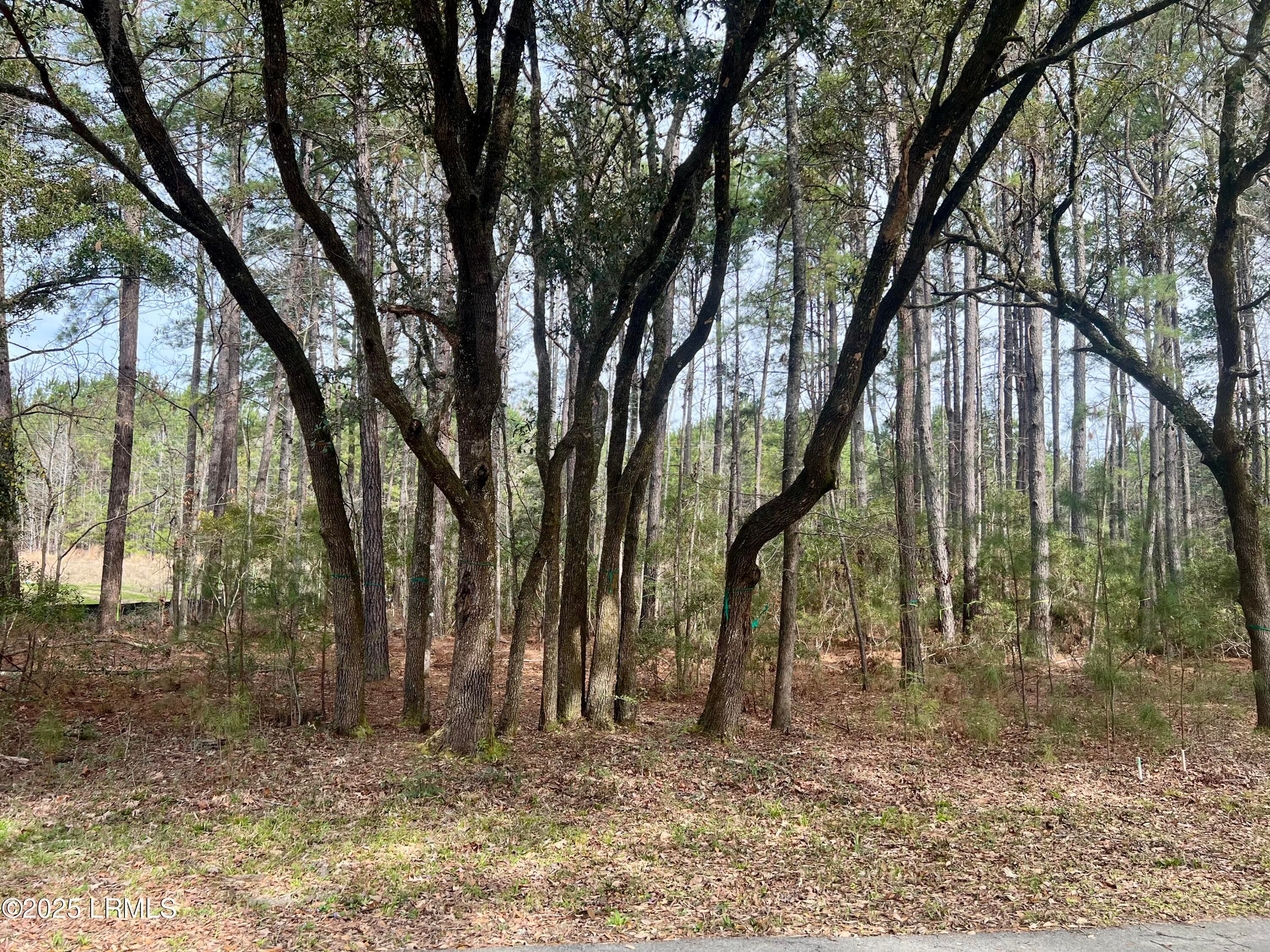 Lot 28 - 237 Founders Oak Way, Yemassee, SC 29945