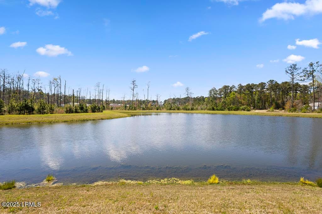 25. Backyard Lagoon View - 409 Beachcomber Boulevard, Hardeeville, SC 29927