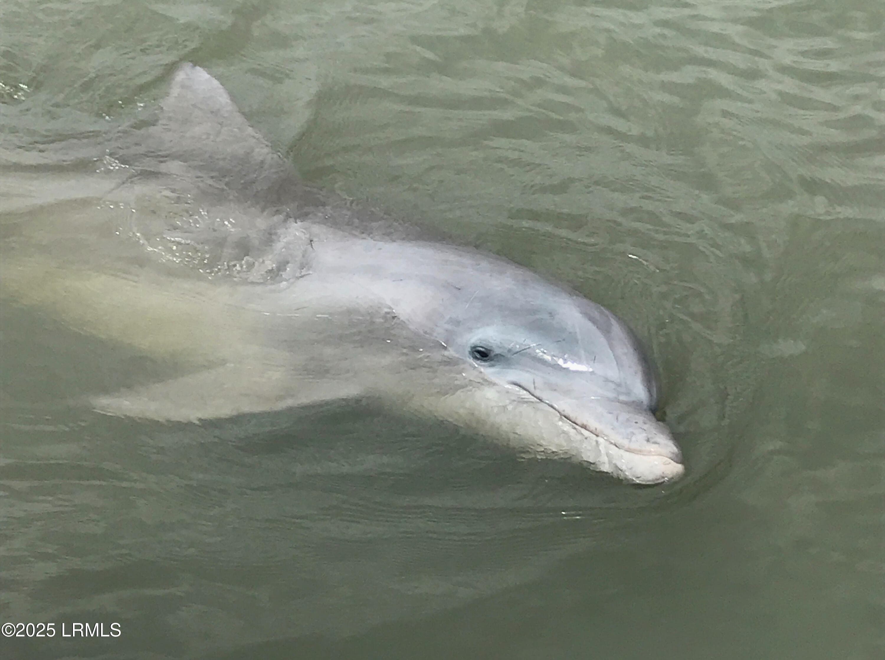 Dolphin 2 - 185 Distant Island Drive, Beaufort, SC 29907