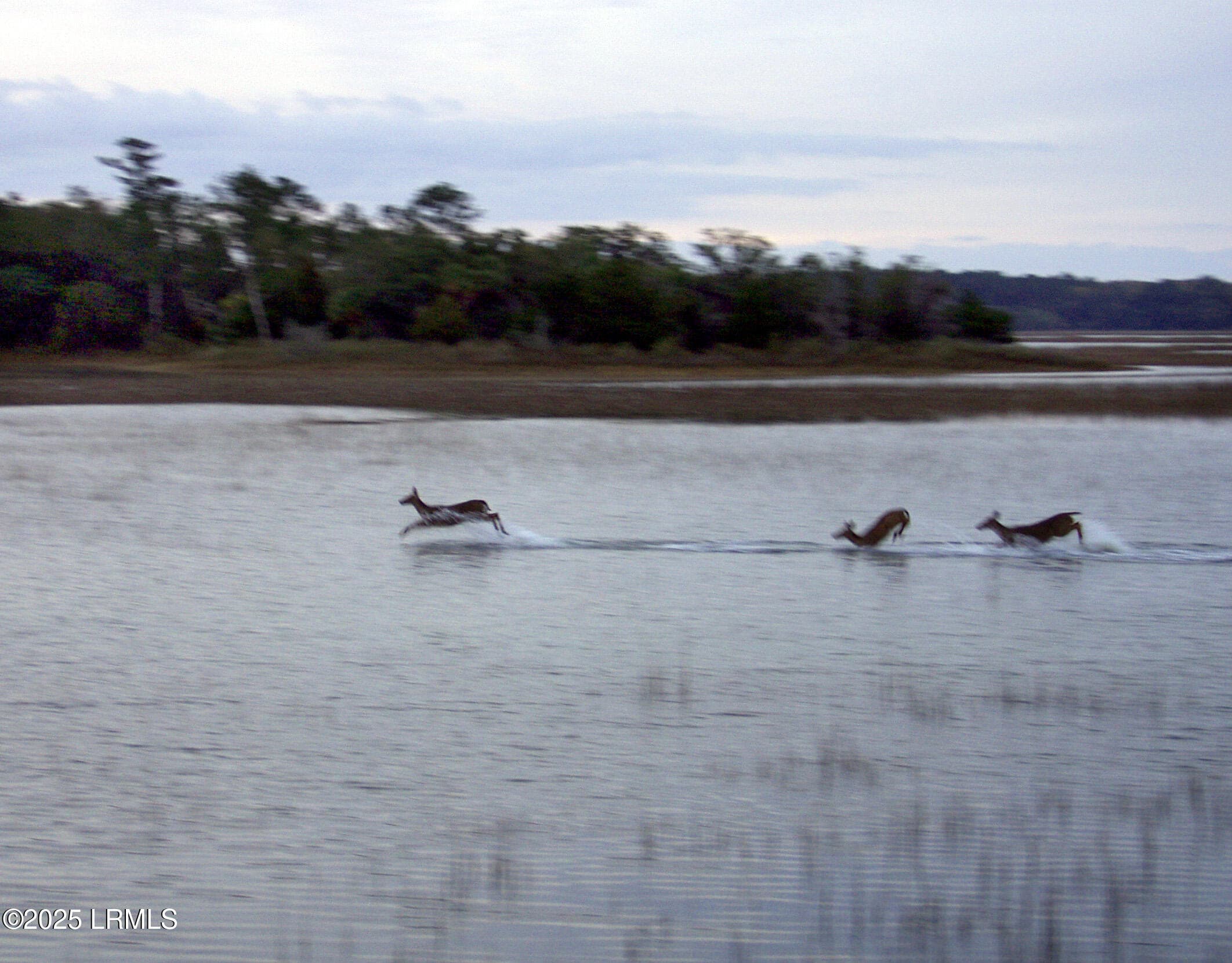P3017518 - 185 Distant Island Drive, Beaufort, SC 29907