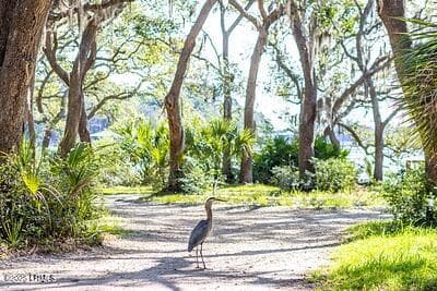 0022 - 345 Distant Island Drive, Beaufort, SC 29907