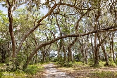 0025 - 345 Distant Island Drive, Beaufort, SC 29907