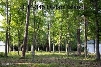 0004 2 - 345 Distant Island Drive, Beaufort, SC 29907