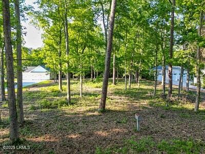 0006 - 345 Distant Island Drive, Beaufort, SC 29907