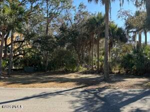 20250331161909978930000000 - 102 Cardinal Crest Lane, Fripp Island, SC 29920