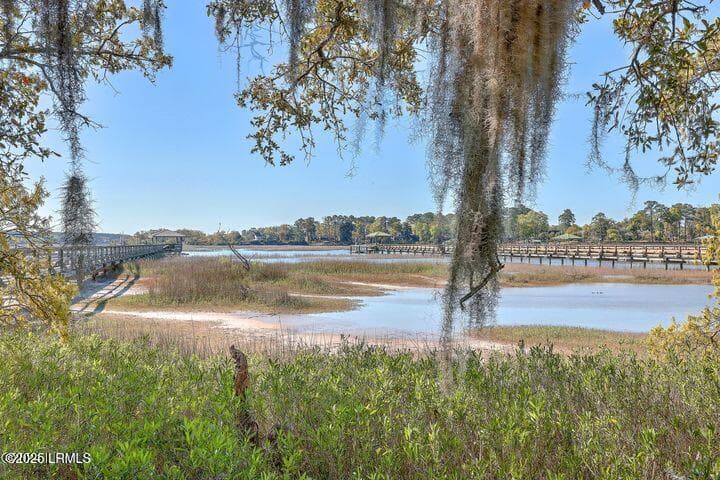 Dock Permit in Hand - 41 Petigru Drive, Beaufort, SC 29902