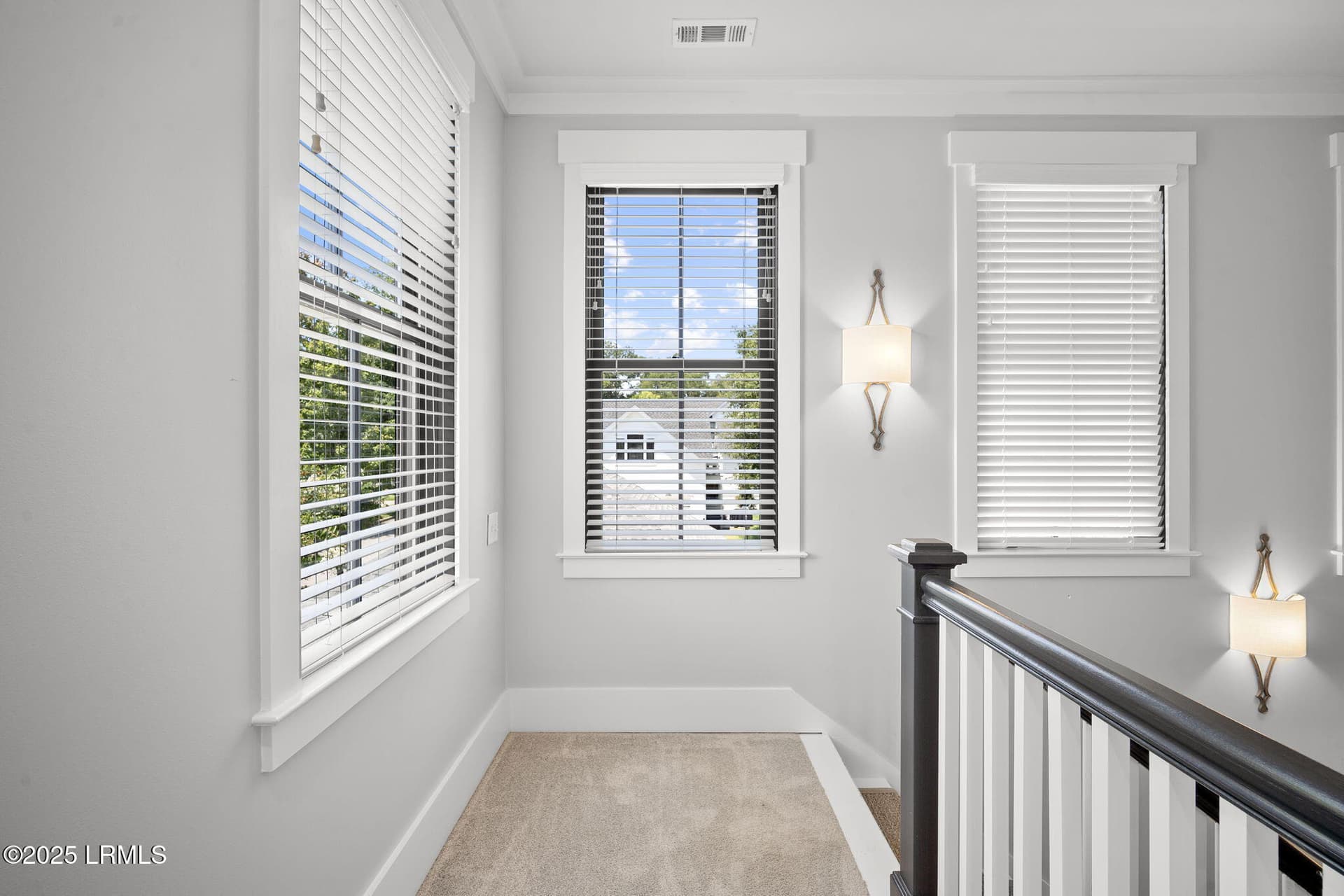 36-web-or-mls-DSC06060 - 1 Park Row, Beaufort, SC 29907