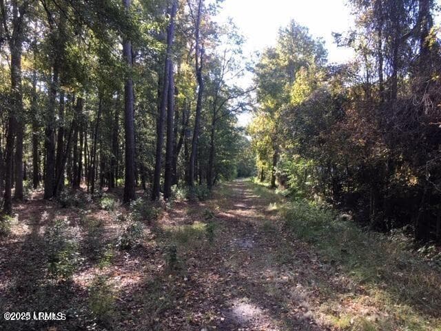tbd 2 - Tbd Goethe Hill Road, Beaufort, SC 29906, Beaufort