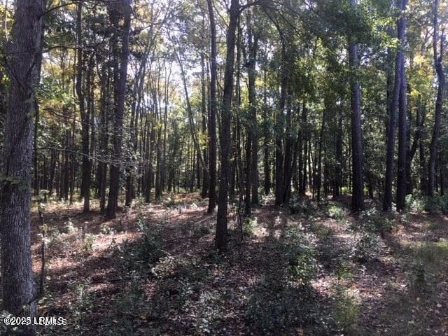 Tbd 4 - Tbd Goethe Hill Road, Beaufort, SC 29906, Beaufort