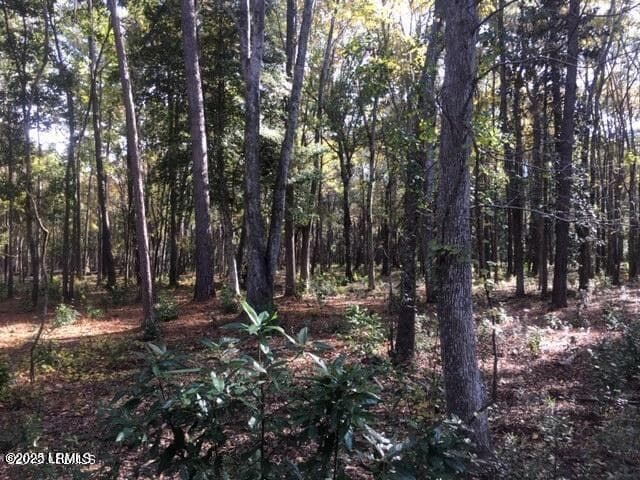 Tbd 5 - Tbd Goethe Hill Road, Beaufort, SC 29906, Beaufort