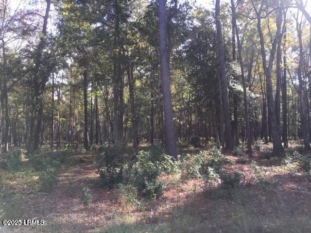 Tbd 8 - Tbd Goethe Hill Road, Beaufort, SC 29906, Beaufort
