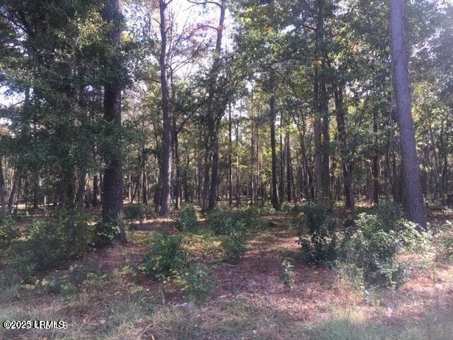 Tbd 9 - Tbd Goethe Hill Road, Beaufort, SC 29906, Beaufort